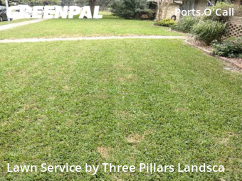 Lawn Mow nearby Plano, TX, 