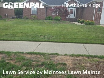 Grass Cut nearby Flat Rock, MI, 