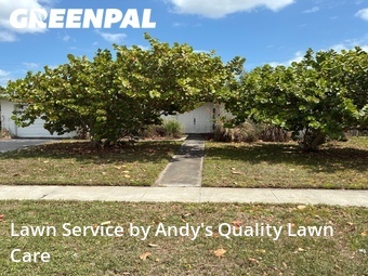 Lawn Mowing Service nearby St. Petersburg, FL, 