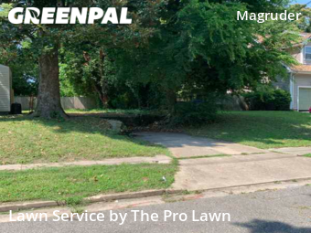 Lawn Cut nearby Newport News, VA, 