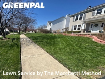 Lawn Maintenance nearby Bolingbrook, IL, 