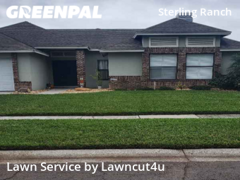 Grass Cutting nearby Brandon, FL, 