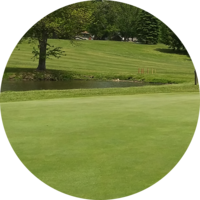 lawn-care-services-in-Albany-NY