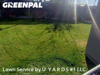 Lawn Cut nearby Riverbank, CA, 