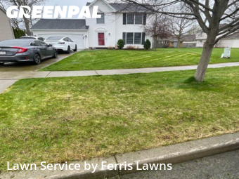 Lawn Care nearby Lancaster, NY, 