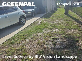 Lawn Mow nearby Tampa, FL, 