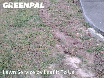 Yard Cutting nearby Tallahassee, FL, 