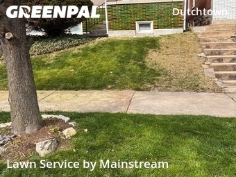 Lawn Mow nearby St. Louis, MO, 