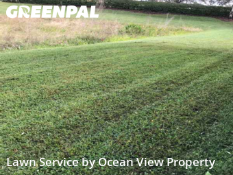 Lawn Mowing nearby Boynton Beach, FL, 