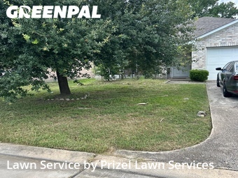 Grass Cut nearby Houston, TX, 