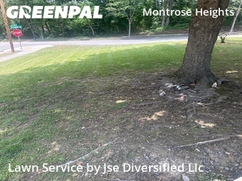 Landscaping Cleanup In Richmond,23231,Landscaping by Jse Diversified Llc, work completed in Jun , 2026