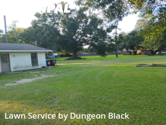 Lawn Mowing nearby Gonzales, LA, 