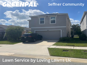 Lawn Cut nearby Tampa, FL, 