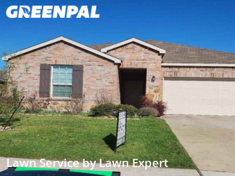 Yard Cutting nearby Little Elm, TX, 
