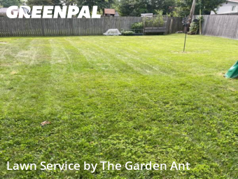 Lawn Care nearby St. Louis, MO, 