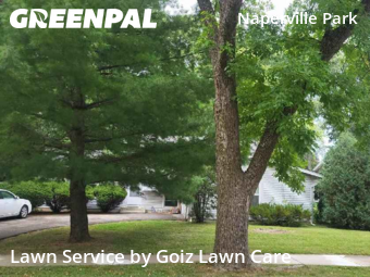 Grass Cutin Naperville,60565,Grass Cutting by Goiz Lawn Care, work completed in Nov , 2025