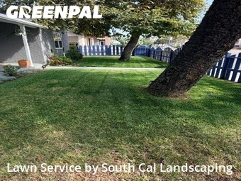 Grass Cut nearby Chula Vista, CA, 