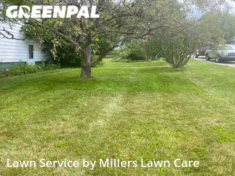 Lawn Care nearby Beaver Falls, PA, 