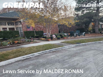 Grass Cuttingin Plano,75025,Yard Mowing by MALDEZ RONAN, work completed in Jan , 2026
