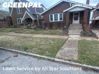 Yard Cutting nearby St. Louis, IL, 