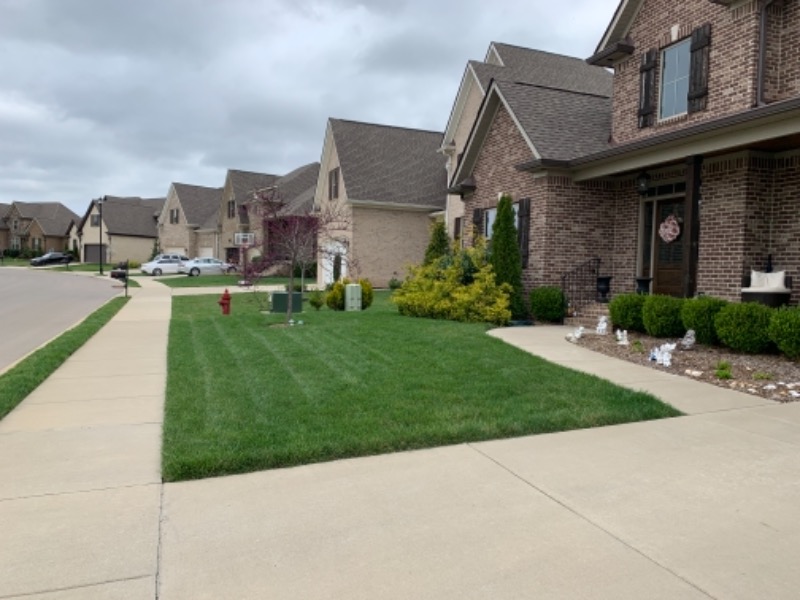 Greenist Lawn Lawn Care Services in Spring Hill, TN