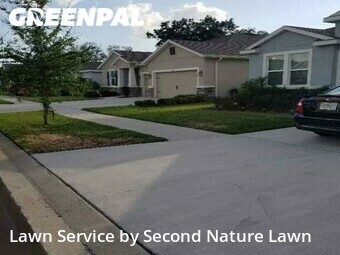 Grass Cut nearby Brandon, FL, 