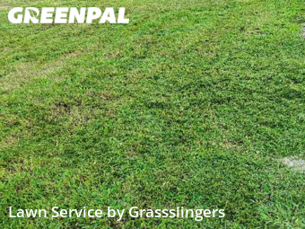 Lawn Care nearby Mount Holly, NC, 