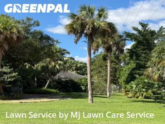 Mowing Services in Vero Beach, 32968, Grass Care by Mj Lawn Care Service, work completed in Nov , 2025