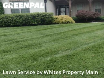 Lawn Care Service nearby Knoxville, TN, 