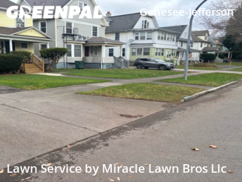 Lawn Mow nearby Rochester, NY, 