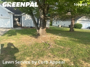 Affordable Landscaping In Charlotte,28213,Landscapers by Curb Appeal, work completed in Jun , 2026