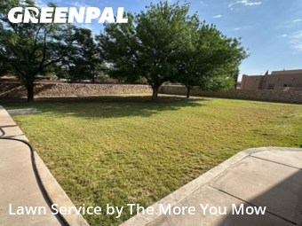 Lawn Cut nearby Socorro, TX, 