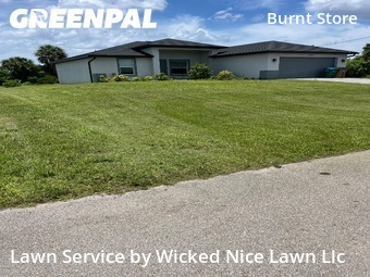 Lawn Mow nearby Cape Coral, FL, 