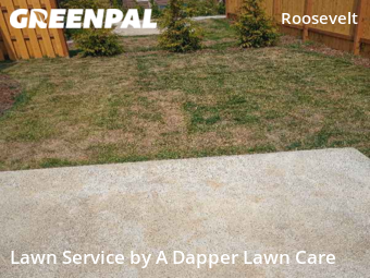 Lawn Care nearby Bellingham, WA, 