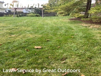 Yard Cutting nearby Dublin, OH, 