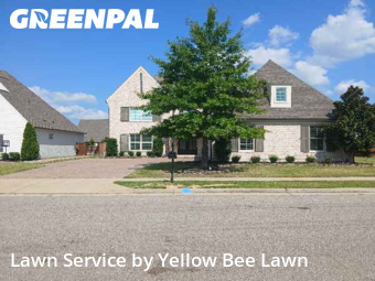 Lawn Cut nearby Collierville, TN, 