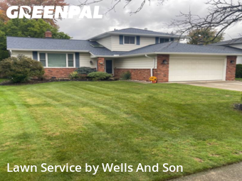 Grass Cutting in Mayfield Heights, 44124, Yard Upkeep by Wells And Son, work completed in Nov , 2025
