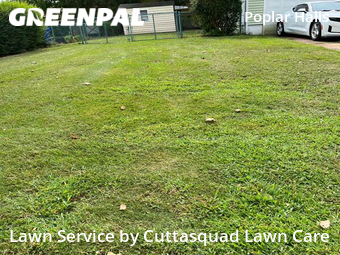 Yard Mowing nearby Norfolk, VA, 