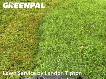 Landscape Design In Little Rock,72227,Landscaping Renovation by Landon Tipton, work completed in Jun , 2026