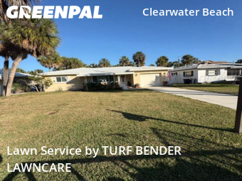 Lawn Mowingin Clearwater,33767,Yard Mowing by TURF BENDER LAWNCARE, work completed in Jan , 2026