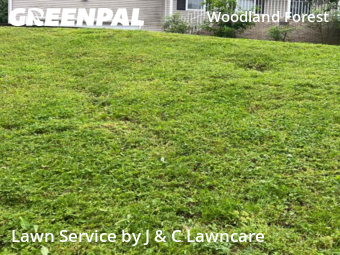 Yard Mowing nearby Nashville, TN, 