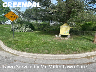 Lawn Cutting nearby Ann Arbor, MI, 