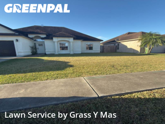 Lawn mowed in Brownsville, 78526