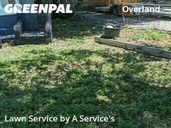 Lawn Mow nearby Denver, CO, 
