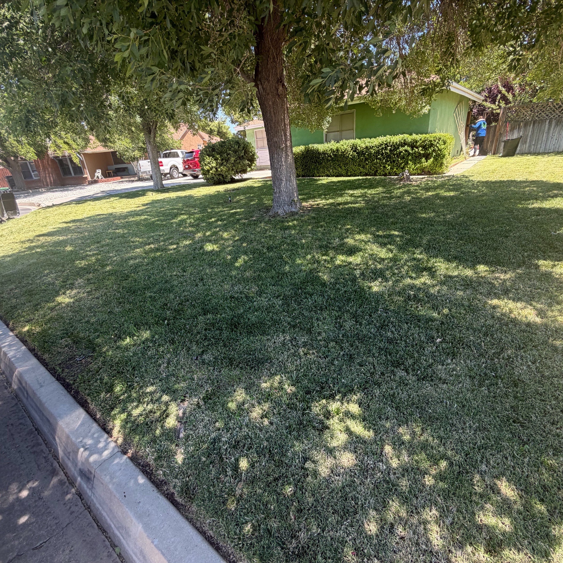 Lawn mowing work by Olivares Gardening  in Santa Clarita, CA