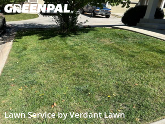 Lawn Service nearby Fort Collins, CO, 