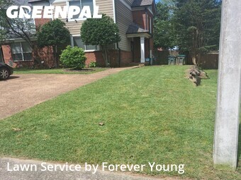 Landscaping Renovation In Memphis,38018,Landscaping Services by Forever Young, work completed in Jun , 2026