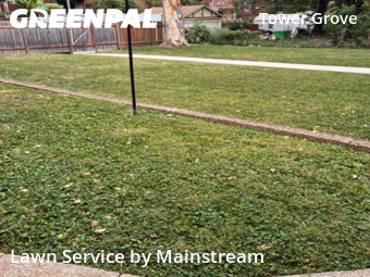 Lawn Cut nearby St. Louis, MO, 