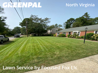 Lawn Cutting nearby Virginia Beach, VA, 