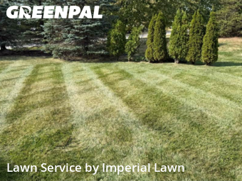 Lawn Care Service nearby Canton, MI, 